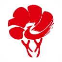 ���°�app