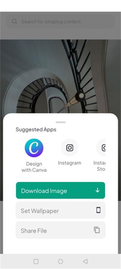 pexels�ز����İ�