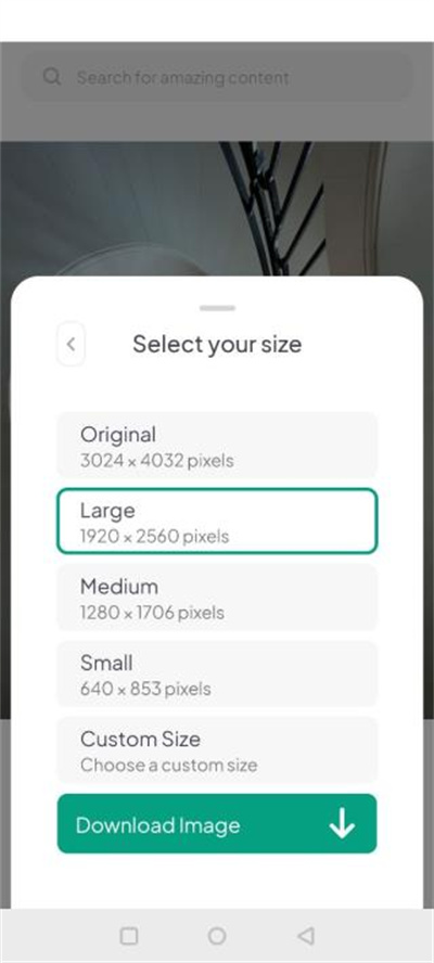 pexels�ز����İ�