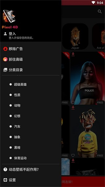 pixel 4d��ֽ