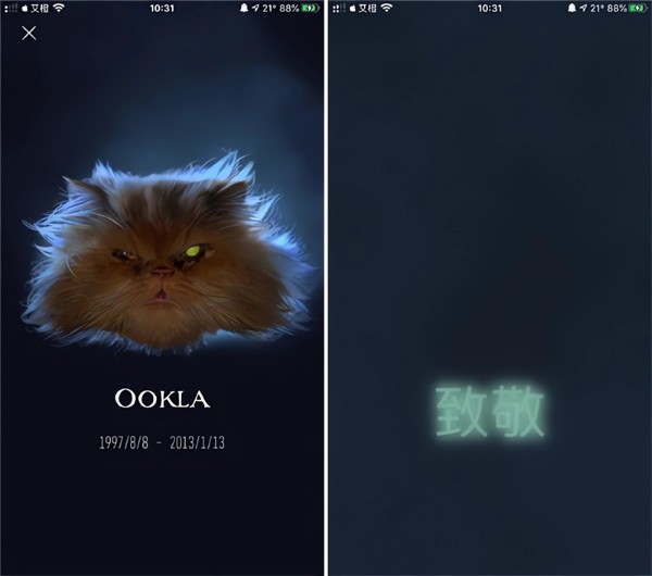 ookla speedtest�������°�