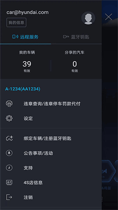 �����ִ�bluelink���°汾