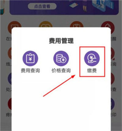 �����Ʋ���