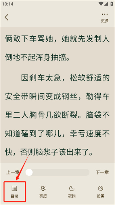 ����С˵