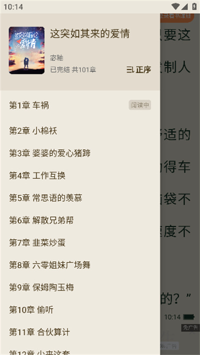 ����С˵