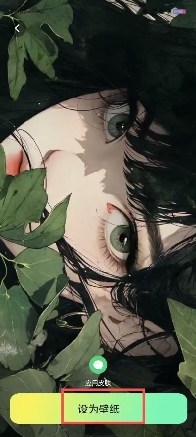 趣美壁纸最新版 趣美壁纸最新版