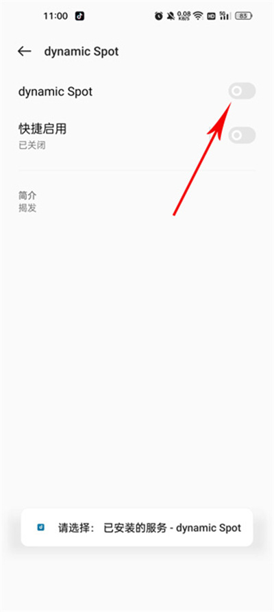 dynamicSpot�鶯��