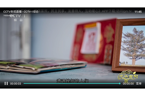 ���Ҽ�Լ��TVapp