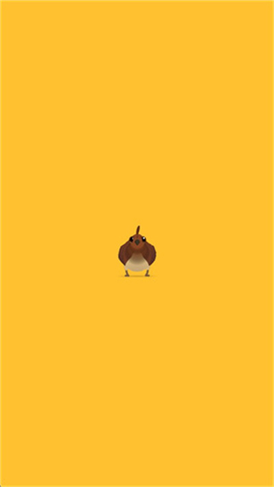 ���ĸ���pigeonpop