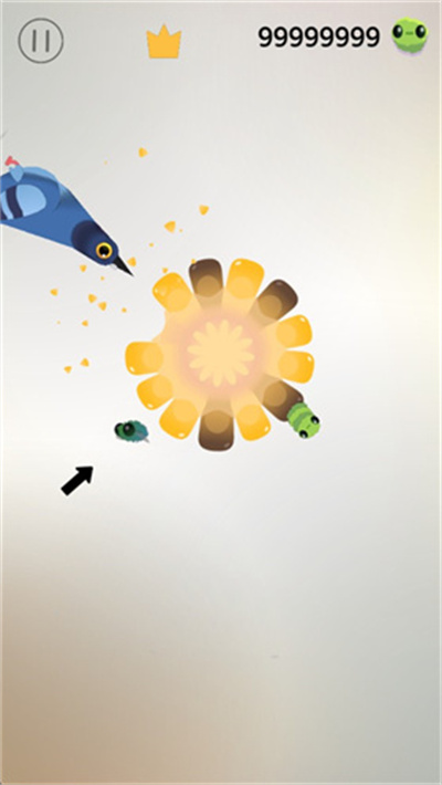 ���ĸ���pigeonpop