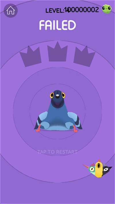 ���ĸ���pigeonpop