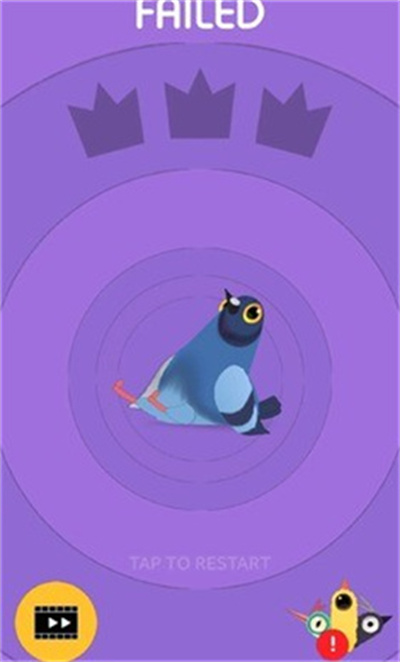 ���ĸ���pigeonpop