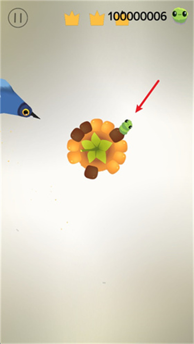 ���ĸ���pigeonpop