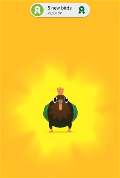 ���ĸ���pigeonpop