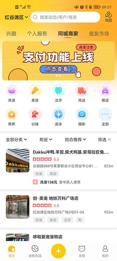 宠胖胖 宠胖胖