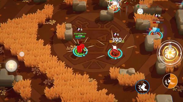 2.jpg