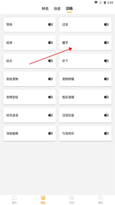 猫咪翻译器软件 猫咪翻译器软件