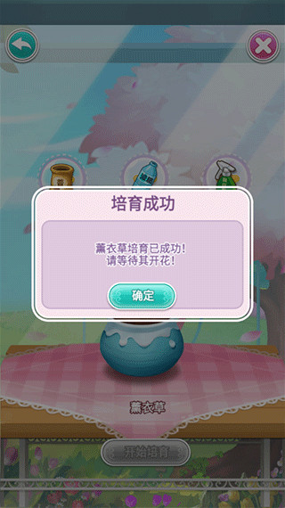 �ʻ�С������