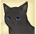 猫咪天堂手游 猫咪天堂手游