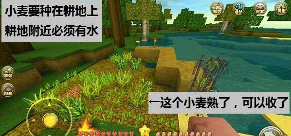 迷你世界测试服2026 迷你世界测试服2026