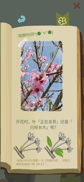 老农种树 老农种树