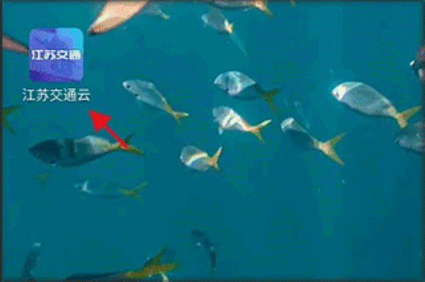 ���ս�ͨ��ƽ̨