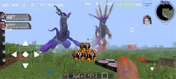 �ҵ��������汦�����뾫���