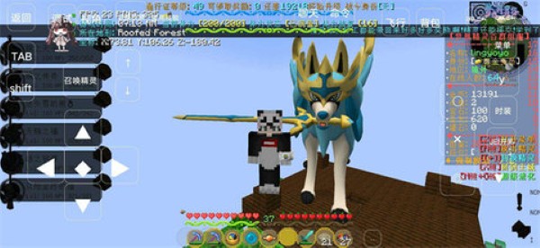 �ҵ��������汦�����뾫���