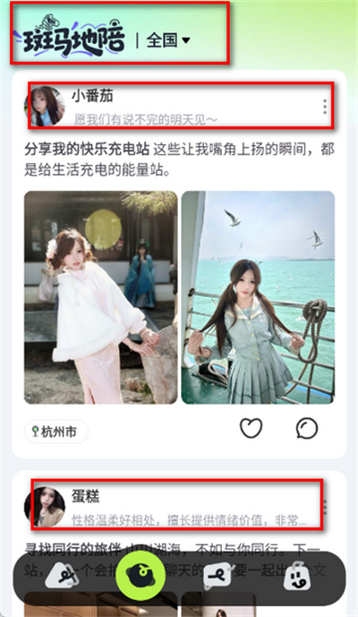 斑马地陪 斑马地陪