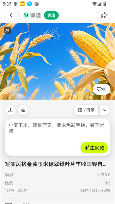 ǧͼ��