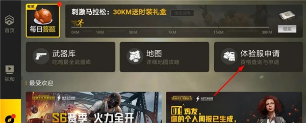 4.jpg