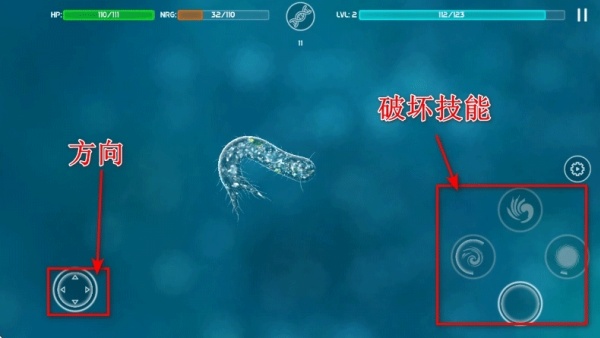 细胞起源 细胞起源