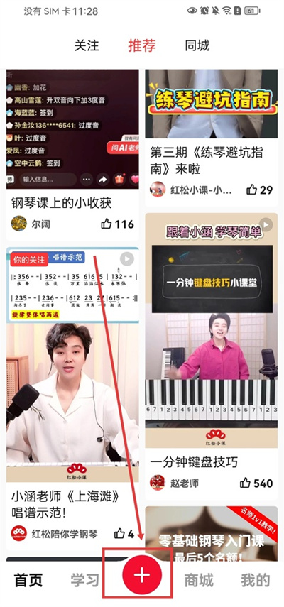 红松 红松