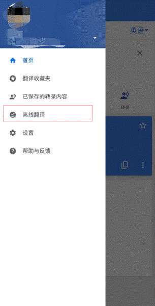 google����