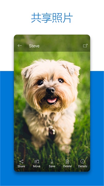 skydrive最新官方版(OneDrive) skydrive最新官方版(OneDrive)