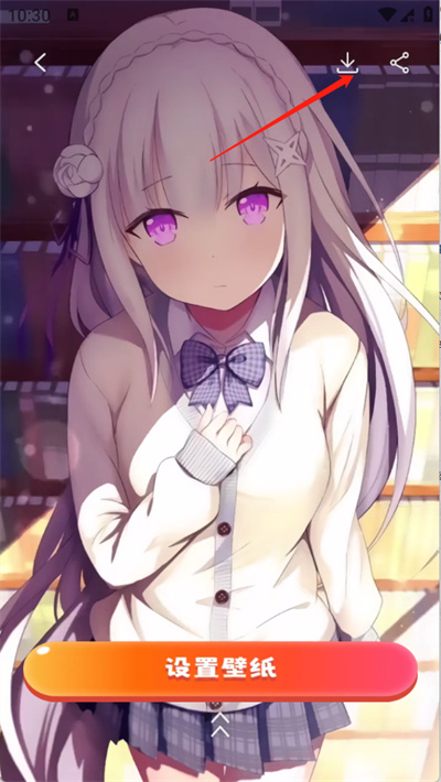 ȫ��̬��ֽ