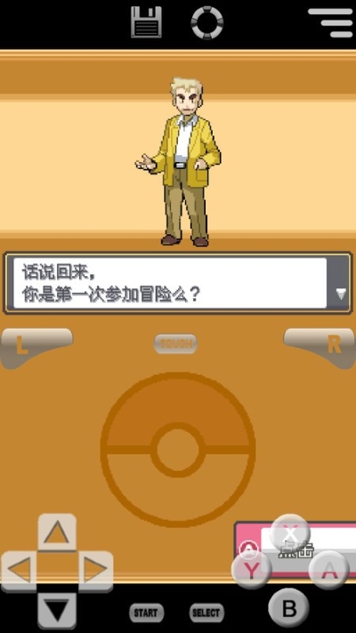 nds口袋妖怪心灵之金官方正版 nds口袋妖怪心灵之金官方正版