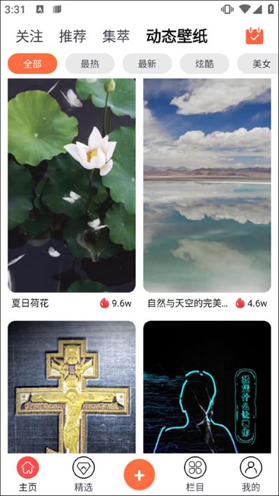 ��ݮapp