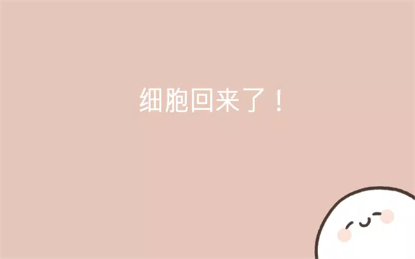 我的49天与细胞最新版 我的49天与细胞最新版