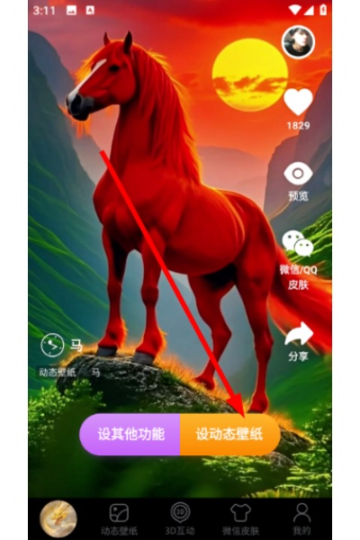 ������ֽapp