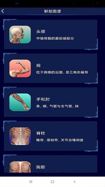 3D�������ͼ��app