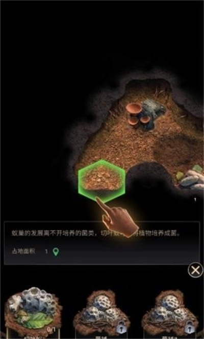 蚂蚁地下王国模拟器 蚂蚁地下王国模拟器