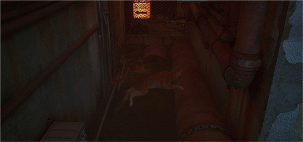 ��ʧstray��������
