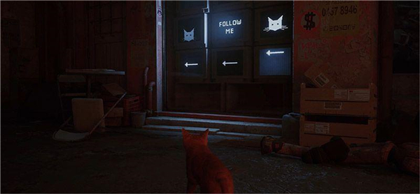 ��ʧstray��������