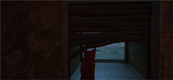 ��ʧstray��������