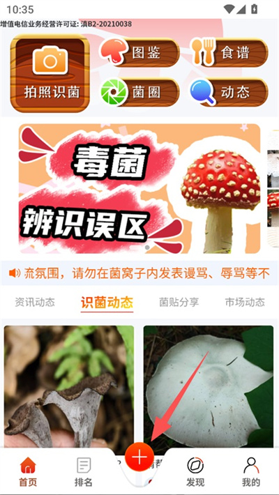 菌窝子 菌窝子