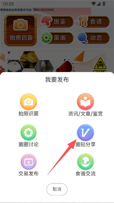 菌窝子 菌窝子