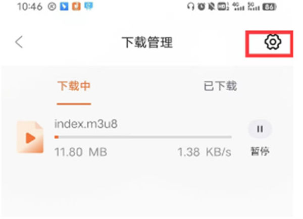 �豭��Ӱ��