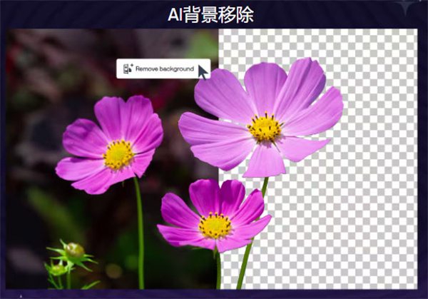 coreldraw2026中文最新版 coreldraw2026中文最新版