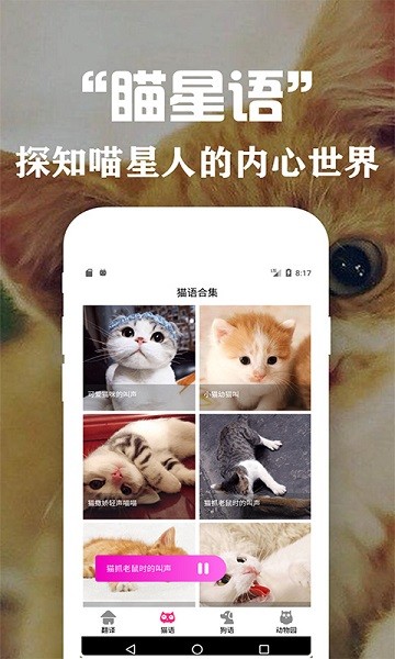 ���﷭�뽻������Ѱ�